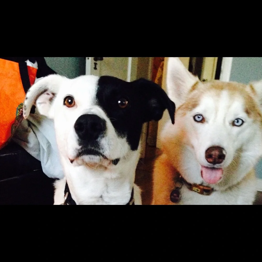 Meet your Posher, Nancy - Picture 4 of 7